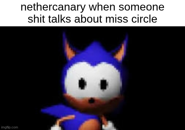 Rewrite Stare | nethercanary when someone shit talks about miss circle | image tagged in rewrite stare | made w/ Imgflip meme maker