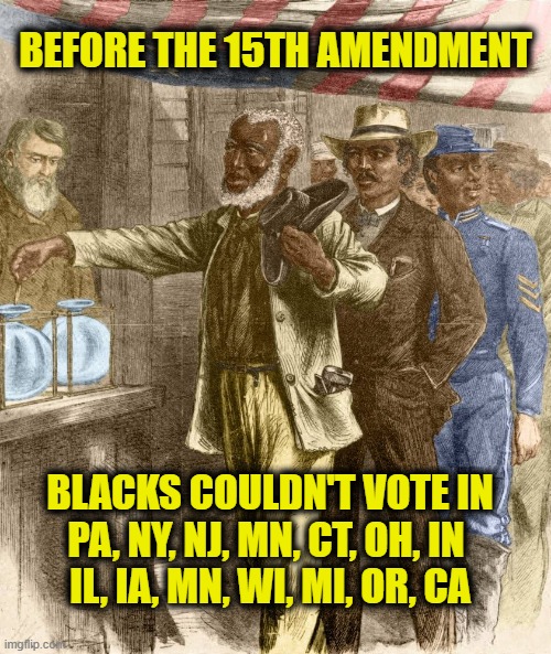 Inconvenient history | BEFORE THE 15TH AMENDMENT; BLACKS COULDN'T VOTE IN
PA, NY, NJ, MN, CT, OH, IN 
IL, IA, MN, WI, MI, OR, CA | image tagged in leftists | made w/ Imgflip meme maker