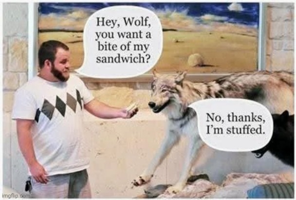 Taxidermist Joke | image tagged in stuffed animal,sharing is caring,cotton balls,taxidermy,thanks for nothing | made w/ Imgflip meme maker