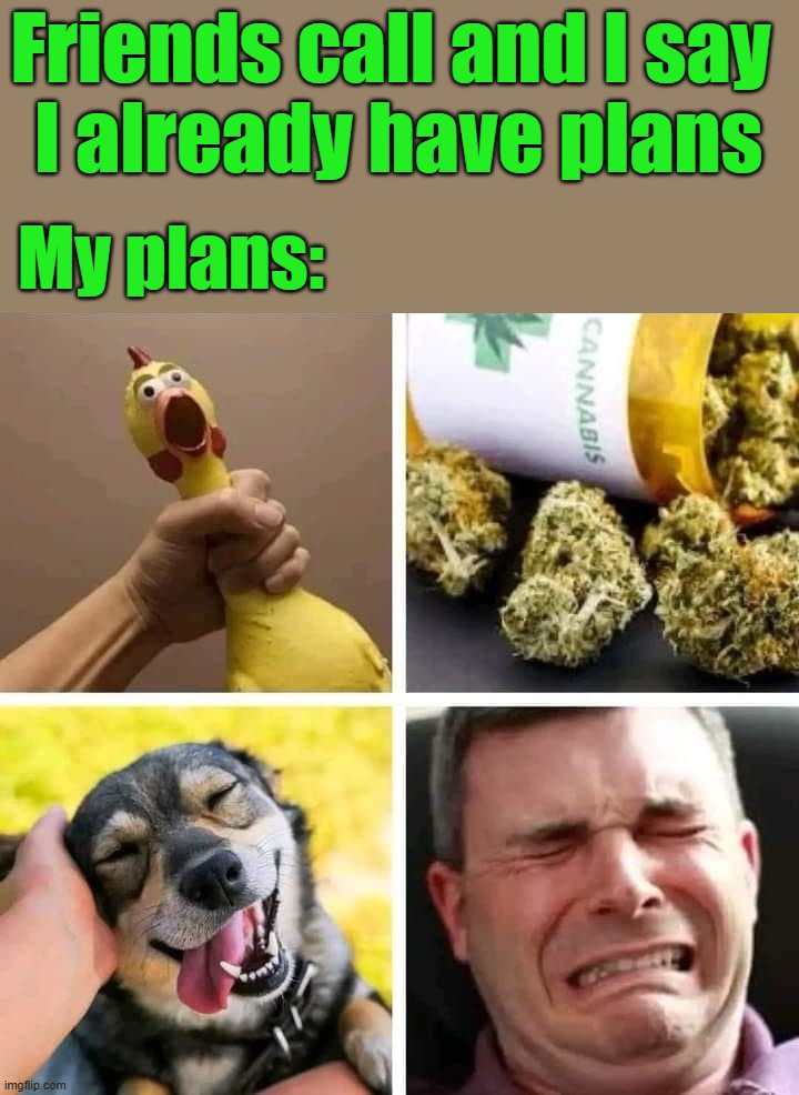 My plans | Friends call and I say 
I already have plans; My plans: | image tagged in plans | made w/ Imgflip meme maker