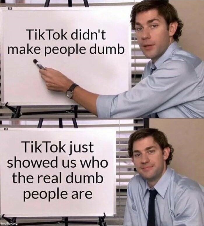 image tagged in tiktok sucks | made w/ Imgflip meme maker