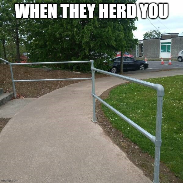WHEN THEY HERD YOU | image tagged in you had one job just the one | made w/ Imgflip meme maker