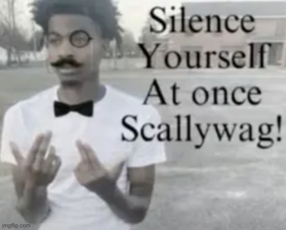 Silence yourself at once scallywag! | image tagged in silence yourself at once scallywag | made w/ Imgflip meme maker