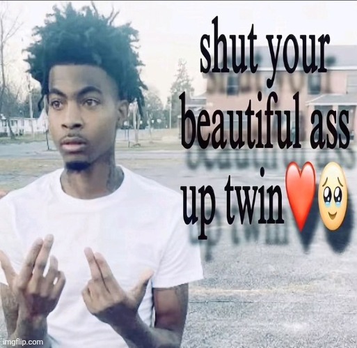 Shut your beautiful ass up twin | image tagged in shut your beautiful ass up twin | made w/ Imgflip meme maker