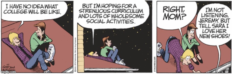 Zits | image tagged in comics | made w/ Imgflip meme maker