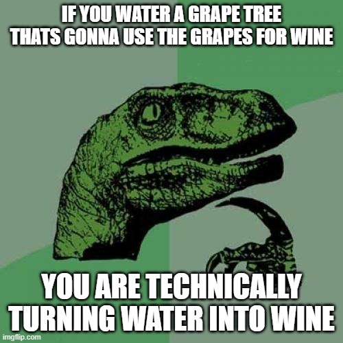 Philosoraptor | IF YOU WATER A GRAPE TREE THATS GONNA USE THE GRAPES FOR WINE; YOU ARE TECHNICALLY TURNING WATER INTO WINE | image tagged in memes,philosoraptor | made w/ Imgflip meme maker