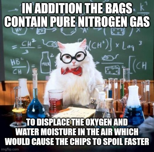 IN ADDITION THE BAGS CONTAIN PURE NITROGEN GAS TO DISPLACE THE OXYGEN AND WATER MOISTURE IN THE AIR WHICH WOULD CAUSE THE CHIPS TO SPOIL FAS | image tagged in memes,chemistry cat | made w/ Imgflip meme maker