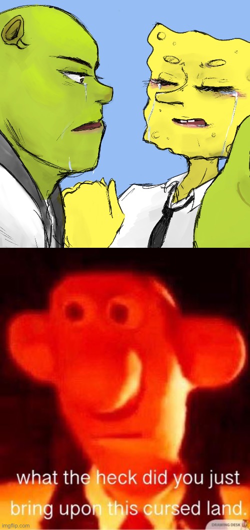 Seriously why? | image tagged in what the heck did you just bring upon this cursed land | made w/ Imgflip meme maker