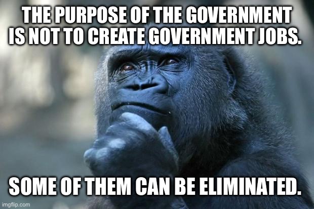 Deep Thoughts | THE PURPOSE OF THE GOVERNMENT IS NOT TO CREATE GOVERNMENT JOBS. SOME OF THEM CAN BE ELIMINATED. | image tagged in deep thoughts | made w/ Imgflip meme maker