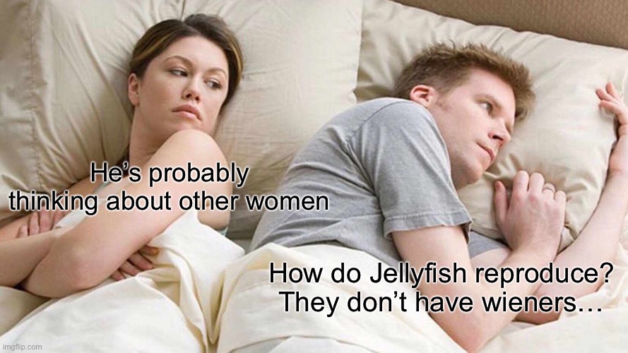 I Bet He's Thinking About Other Women | He’s probably thinking about other women; How do Jellyfish reproduce? They don’t have wieners… | image tagged in memes,i bet he's thinking about other women | made w/ Imgflip meme maker