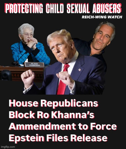 Republicans Don't Want Epstein Files Released | image tagged in republicans don't want epstein files released | made w/ Imgflip meme maker