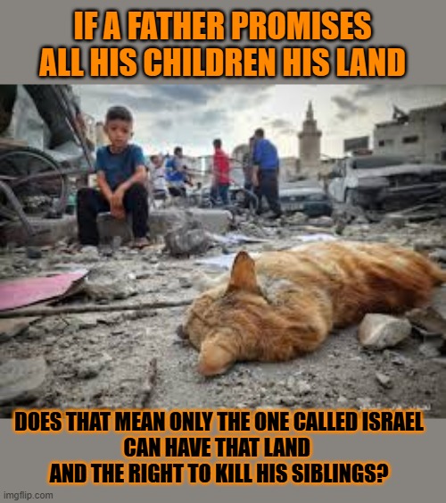 This #lolcat wonders if only Jews are the children of Abraham | IF A FATHER PROMISES ALL HIS CHILDREN HIS LAND; DOES THAT MEAN ONLY THE ONE CALLED ISRAEL
CAN HAVE THAT LAND 
AND THE RIGHT TO KILL HIS SIBLINGS? | image tagged in jews,abraham,lolcat,zionism | made w/ Imgflip meme maker