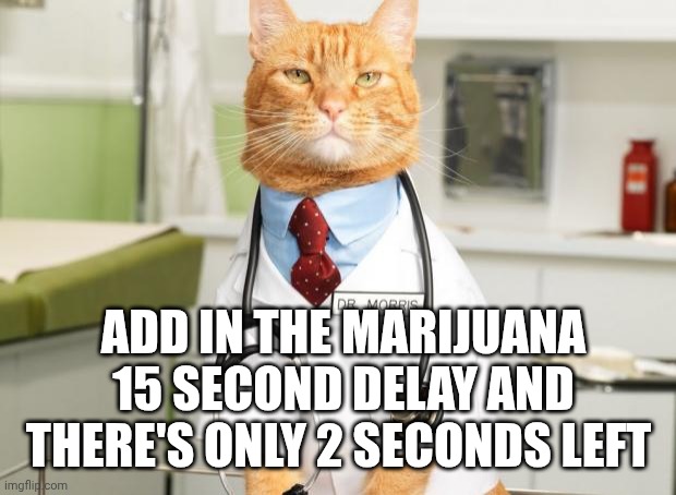 ADD IN THE MARIJUANA 15 SECOND DELAY AND THERE'S ONLY 2 SECONDS LEFT | image tagged in cat doctor | made w/ Imgflip meme maker