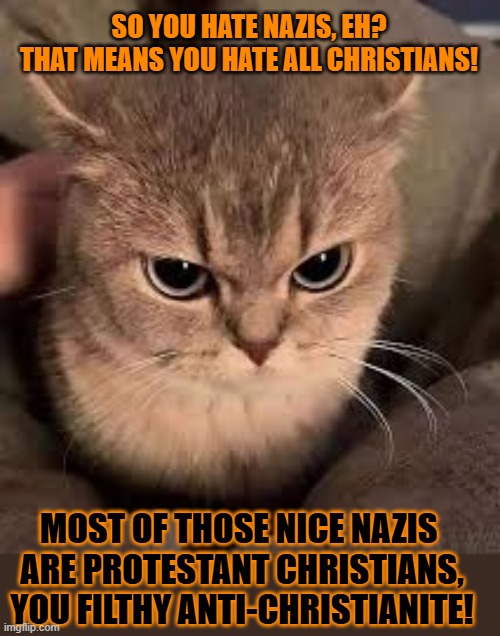 This #lolcat wonders if being anti-nazi makes one anti-christian | SO YOU HATE NAZIS, EH?
THAT MEANS YOU HATE ALL CHRISTIANS! MOST OF THOSE NICE NAZIS 
ARE PROTESTANT CHRISTIANS,
YOU FILTHY ANTI-CHRISTIANITE! | image tagged in nazis,zionism,jews,lolcat | made w/ Imgflip meme maker