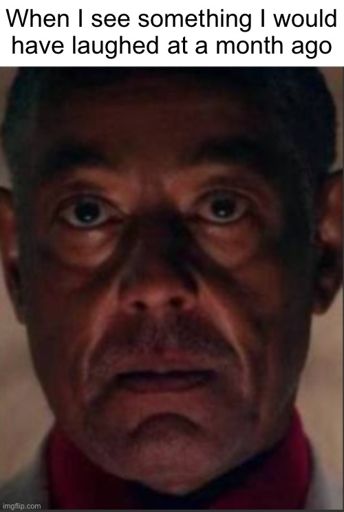 Gus fring | When I see something I would
have laughed at a month ago | image tagged in gus fring | made w/ Imgflip meme maker