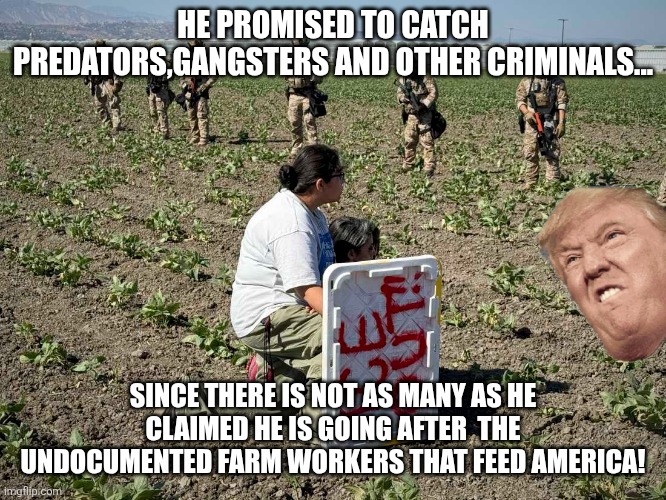 He lied again | HE PROMISED TO CATCH PREDATORS,GANGSTERS AND OTHER CRIMINALS... SINCE THERE IS NOT AS MANY AS HE CLAIMED HE IS GOING AFTER  THE UNDOCUMENTED FARM WORKERS THAT FEED AMERICA! | image tagged in donald trump,trump,illegal immigration,maga,trump sucks,trump supporter | made w/ Imgflip meme maker