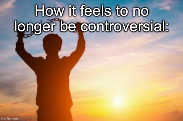 Second chance | How it feels to no longer be controversial: | image tagged in second chance | made w/ Imgflip meme maker