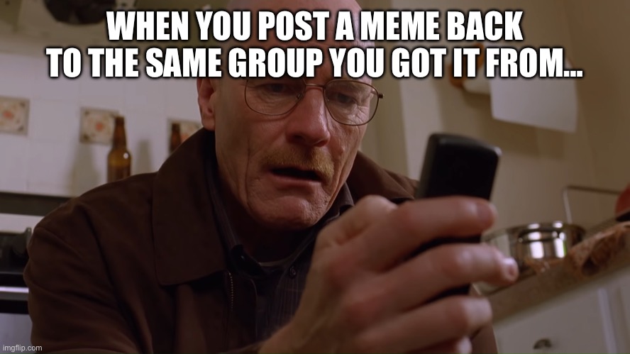 Senior moment: posting memes | WHEN YOU POST A MEME BACK TO THE SAME GROUP YOU GOT IT FROM… | image tagged in walter white on his phone | made w/ Imgflip meme maker
