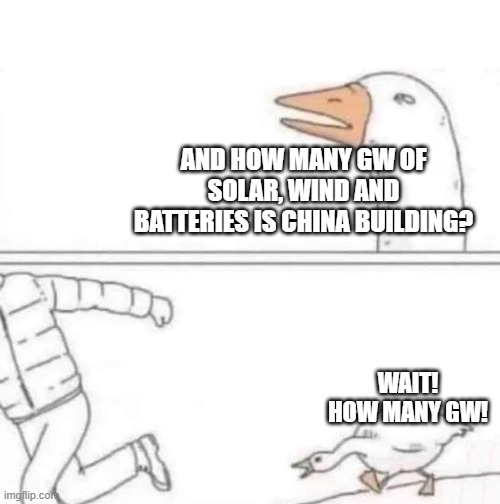 Goose Chase | AND HOW MANY GW OF SOLAR, WIND AND BATTERIES IS CHINA BUILDING? WAIT! HOW MANY GW! | image tagged in goose chase | made w/ Imgflip meme maker