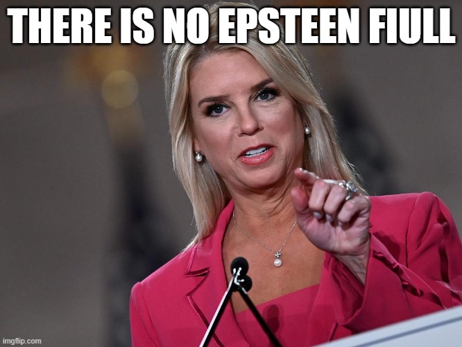 Pam Bondi | THERE IS NO EPSTEEN FIULL | image tagged in pam bondi | made w/ Imgflip meme maker