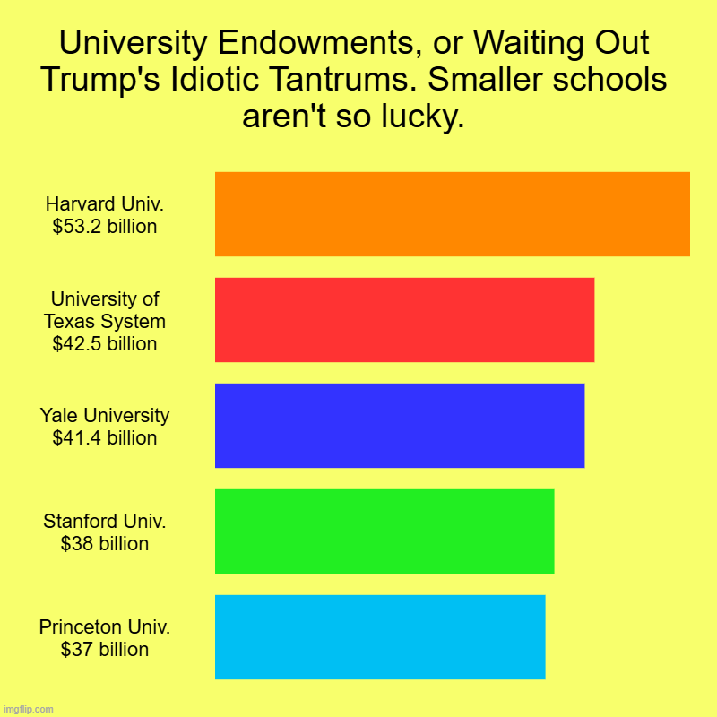 University Endowments, or Waiting Out Trump's Idiotic Tantrums. Smaller schools aren't so lucky. | Harvard Univ. $53.2 billion, University o | image tagged in charts,bar charts,trump,university,endowment,harvard | made w/ Imgflip chart maker