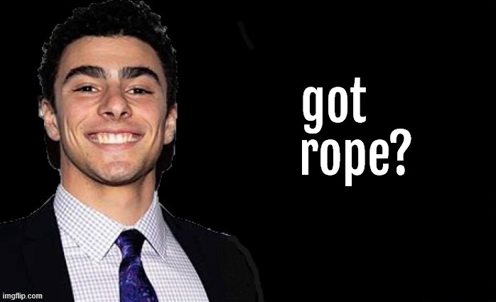 got rope? | got
    rope? | image tagged in got  rope,luigi,magione,gop at the end of it's rope,trump's revenge | made w/ Imgflip meme maker