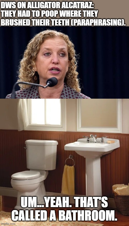 Where was the outrage over the cages Obama was using?! | DWS ON ALLIGATOR ALCATRAZ: 
THEY HAD TO POOP WHERE THEY BRUSHED THEIR TEETH (PARAPHRASING). UM...YEAH. THAT'S CALLED A BATHROOM. | image tagged in leftard,demoncrat,demonrat,memes,outrage | made w/ Imgflip meme maker