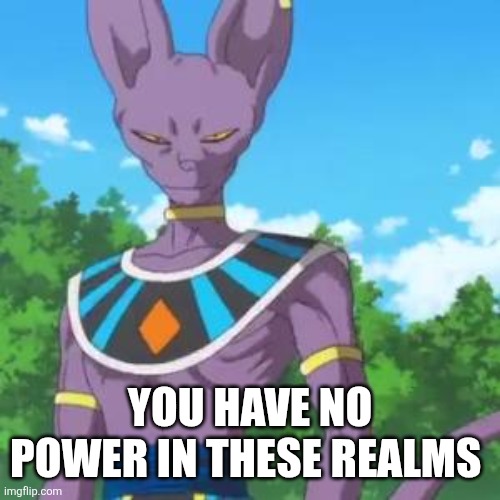 Lord Beerus | YOU HAVE NO POWER IN THESE REALMS | image tagged in lord beerus | made w/ Imgflip meme maker