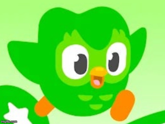 cute green owl is here for you | image tagged in running duo | made w/ Imgflip meme maker