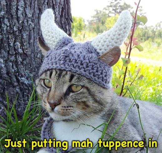 Viking cat crochete hat | Just putting mah tuppence in | image tagged in viking cat crochete hat | made w/ Imgflip meme maker