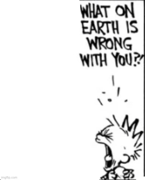 What on earth is wrong with you | image tagged in what on earth is wrong with you | made w/ Imgflip meme maker