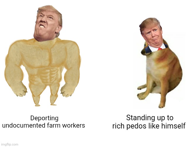 Not so tough | Deporting undocumented farm workers; Standing up to rich pedos like himself | image tagged in donald trump,trump,jeffrey epstein,epstein,illegal immigration,maga | made w/ Imgflip meme maker