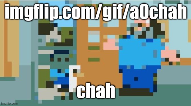 chicken jockey | imgflip.com/gif/a0chah; chah | image tagged in chicken jockey | made w/ Imgflip meme maker