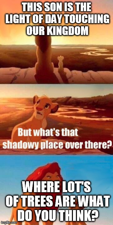 Simba Shadowy Place Meme | THIS SON IS THE LIGHT OF DAY TOUCHING OUR KINGDOM WHERE LOT'S OF TREES ARE WHAT DO YOU THINK? | image tagged in memes,simba shadowy place | made w/ Imgflip meme maker
