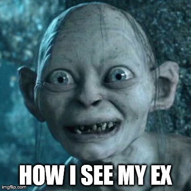 Gollum | HOW I SEE MY EX | image tagged in memes,gollum | made w/ Imgflip meme maker