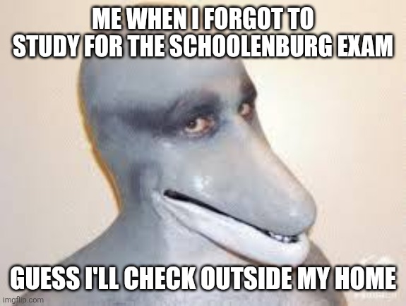 Dolphin man vs Jim schoolenburg reference | ME WHEN I FORGOT TO STUDY FOR THE SCHOOLENBURG EXAM; GUESS I'LL CHECK OUTSIDE MY HOME | image tagged in dolphin guy,dolphin man vs jim schoolenburg | made w/ Imgflip meme maker