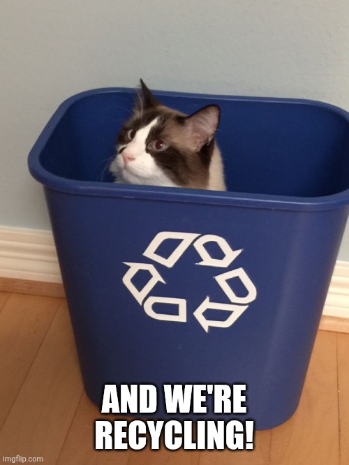 cat recycle | AND WE'RE RECYCLING! | image tagged in cat recycle | made w/ Imgflip meme maker