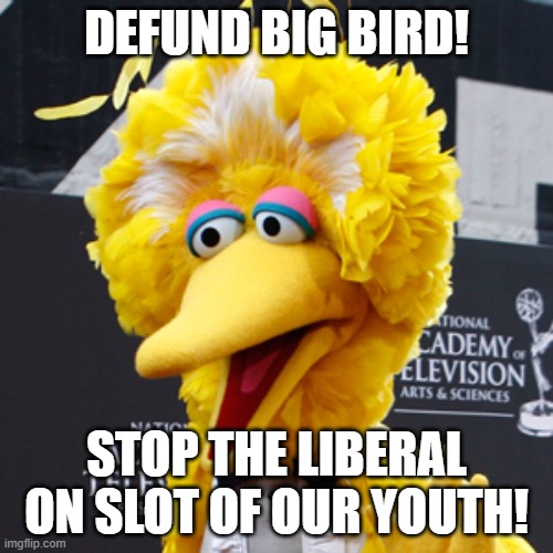 Big Bird | DEFUND BIG BIRD! STOP THE LIBERAL ON SLOT OF OUR YOUTH! | image tagged in memes,big bird | made w/ Imgflip meme maker
