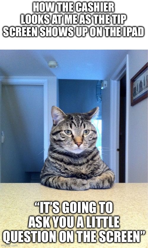 Like, y’all didn’t do no nothin, you just took my order. I have to get the food | HOW THE CASHIER LOOKS AT ME AS THE TIP SCREEN SHOWS UP ON THE IPAD; “IT’S GOING TO ASK YOU A LITTLE QUESTION ON THE SCREEN” | image tagged in memes,take a seat cat,money,fast food,food,cashier meme | made w/ Imgflip meme maker