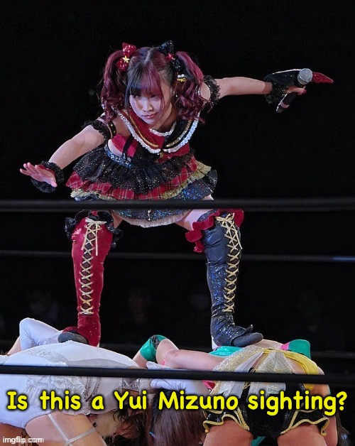 Looks a little like her anyway... | Is this a Yui Mizuno sighting? | image tagged in japanese wrestler | made w/ Imgflip meme maker