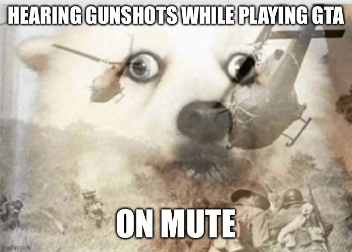 Meme | HEARING GUNSHOTS WHILE PLAYING GTA; ON MUTE | image tagged in ptsd dog | made w/ Imgflip meme maker