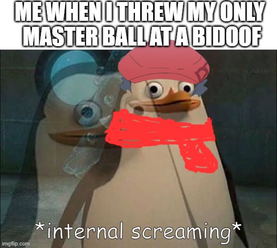 Why | ME WHEN I THREW MY ONLY  MASTER BALL AT A BIDOOF | image tagged in private internal screaming,pokemon | made w/ Imgflip meme maker