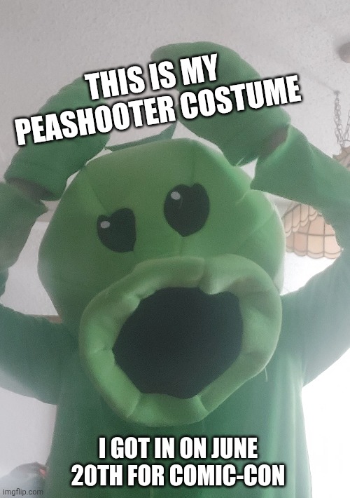 I hope it's ok | THIS IS MY PEASHOOTER COSTUME; I GOT IN ON JUNE 20TH FOR COMIC-CON | image tagged in plants vs zombies | made w/ Imgflip meme maker