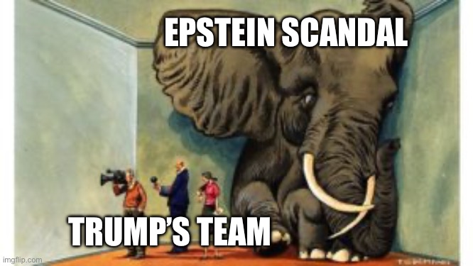 Elephant in the room | EPSTEIN SCANDAL; TRUMP’S TEAM | image tagged in elephant in the room | made w/ Imgflip meme maker