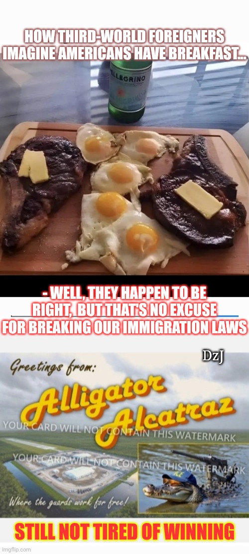Come to USA LEGALLY For Breakfast | HOW THIRD-WORLD FOREIGNERS IMAGINE AMERICANS HAVE BREAKFAST... - WELL, THEY HAPPEN TO BE RIGHT,  BUT THAT'S NO EXCUSE FOR BREAKING OUR IMMIGRATION LAWS; DzJ; STILL NOT TIRED OF WINNING | image tagged in deportation,illegal aliens,criminals,maga,rules,winning | made w/ Imgflip meme maker