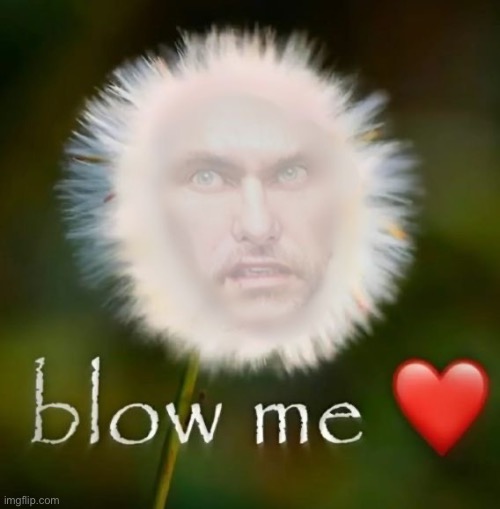 image tagged in blow me | made w/ Imgflip meme maker