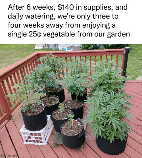image tagged in gardening,fruit,smoke weed everyday,weed,legalize weed | made w/ Imgflip meme maker