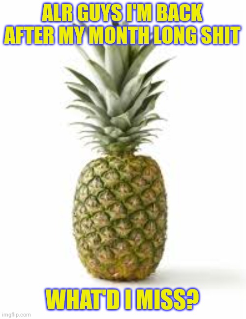 Sethamphetamine announcement temp | ALR GUYS I'M BACK AFTER MY MONTH LONG SHIT; WHAT'D I MISS? | image tagged in sethamphetamine announcement temp | made w/ Imgflip meme maker