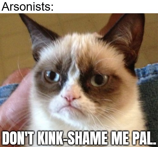 Arsonists: DON'T KINK-SHAME ME PAL. | made w/ Imgflip meme maker