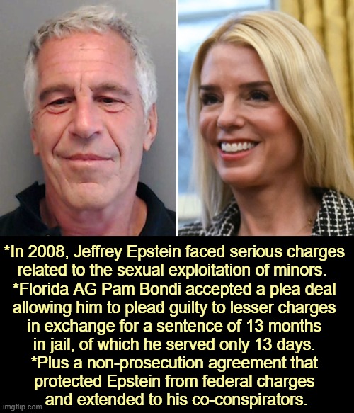 Jeffrey Epstein Pam Bondi 2008 plea deal | *In 2008, Jeffrey Epstein faced serious charges 

related to the sexual exploitation of minors.  

*Florida AG Pam Bondi accepted a plea deal 
allowing him to plead guilty to lesser charges 
in exchange for a sentence of 13 months 
in jail, of which he served only 13 days. 

*Plus a non-prosecution agreement that 
protected Epstein from federal charges 
and extended to his co-conspirators. | image tagged in jeffrey epstein pam bondi 2008 plea deal,jeffrey epstein,pam bondi,sexual predator,jail,plea deal | made w/ Imgflip meme maker